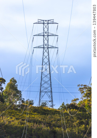 An electrical transmission tower located on a hill in a forest An electrical transmission tower located on a hill in a forest 139447803