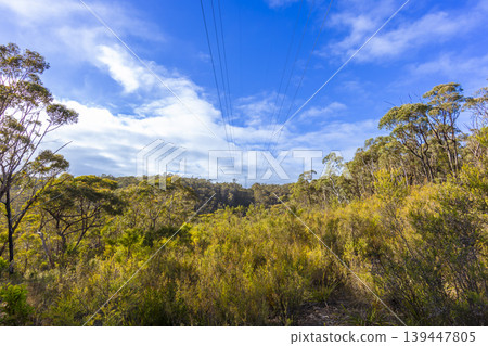 An electrical transmission tower located on a hill in a forest An electrical transmission tower located on a hill in a forest 139447805