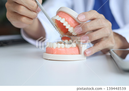 Dentist using a dental model to demonstrate oral health. 139448539