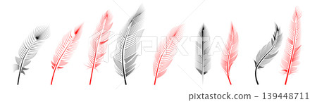 Collection of feather illustration, drawing, engraving, ink line art Collection of feather illustration, drawing, engraving, ink line art 139448711