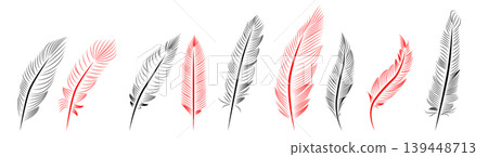 Collection of feather illustration, drawing, engraving, ink line art Collection of feather illustration, drawing, engraving, ink line art 139448713