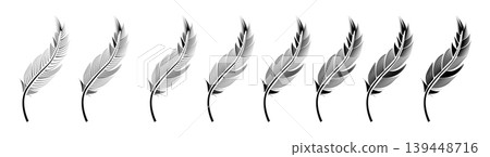Collection of feather illustration, drawing, engraving, ink line art 139448716