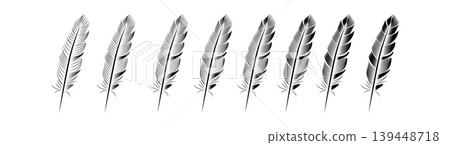 Collection of feather illustration, drawing, engraving, ink line art 139448718