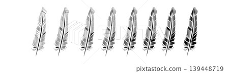 Collection of feather illustration, drawing, engraving, ink line art Collection of feather illustration, drawing, engraving, ink line art 139448719