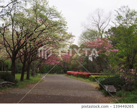 深谷綠國(埼玉縣深谷市栃引24-2) 深谷綠國(埼玉縣深谷市栃引24-2) 139449265