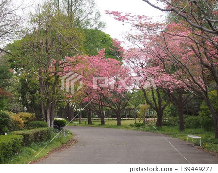 Fukaya Green Kingdom (24-2 Kushibiki, Fukaya City, Saitama Prefecture) Fukaya Green Kingdom (24-2 Kushibiki, Fukaya City, Saitama Prefecture) 139449272