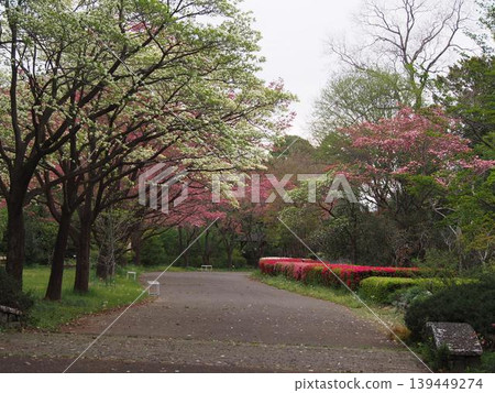 Fukaya Green Kingdom (24-2 Kushibiki, Fukaya City, Saitama Prefecture) 139449274