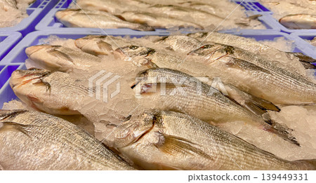 Fresh gilthead seabream Sparus aurata on ice in seafood market display, raw whole fish with crushed ice, Mediterranean cuisine, commercial fishing and fresh seafood. Fresh gilthead seabream Sparus aurata on ice in seafood market display, raw whole fish with crushed ice, Mediterranean cuisine, commercial fishing and fresh seafood. 139449331
