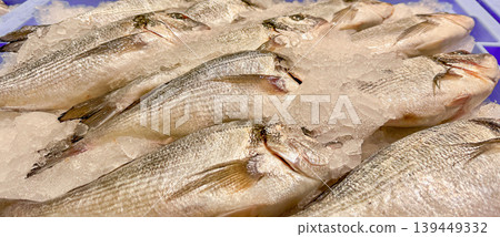 Fresh gilthead seabream Sparus aurata on ice in seafood market display, raw whole fish with crushed ice, Mediterranean cuisine, commercial fishing and fresh seafood. Fresh gilthead seabream Sparus aurata on ice in seafood market display, raw whole fish with crushed ice, Mediterranean cuisine, commercial fishing and fresh seafood. 139449332