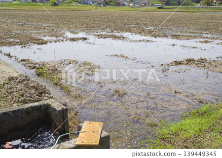 A scene of water being drawn into rice paddies before rice planting. A scene of water being drawn into rice paddies before rice planting. 139449345