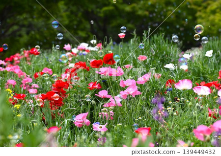 Soap bubbles floating in a flower field Soap bubbles floating in a flower field 139449432