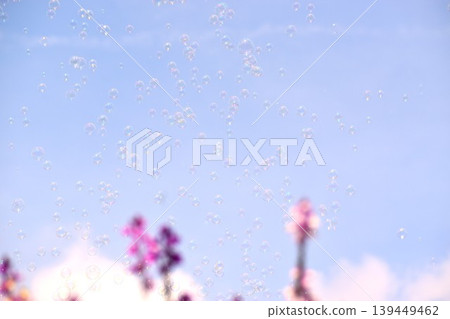 Soap bubbles floating in a flower field 139449462