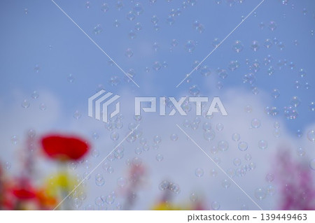 花田裡漂浮著肥皂泡 139449463