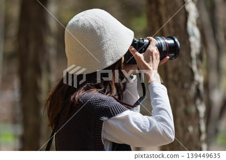A woman photographing a forest of fresh green leaves. A woman photographing a forest of fresh green leaves. 139449635