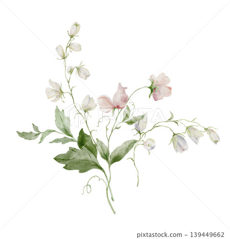 Hand painted watercolor bouquet with pink sweet pea white wildflowers and bellflowers isolated on white. Floral Illustration for design, print, fabric, background. Hand painted watercolor bouquet with pink sweet pea white wildflowers and bellflowers isolated on white. Floral Illustration for design, print, fabric, background. 139449662