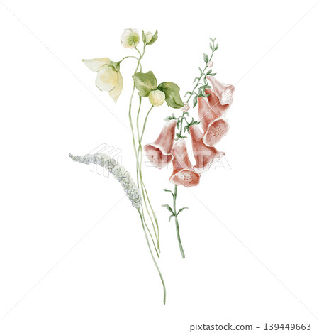 Hand painted watercolor bouquet with pink foxglove white peony and blue wildflowers isolated on white. Floral Illustration for design, print, fabric, background. Hand painted watercolor bouquet with pink foxglove white peony and blue wildflowers isolated on white. Floral Illustration for design, print, fabric, background. 139449663