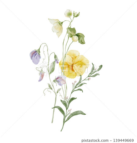 Hand painted watercolor wildflower bouquet with yellow pansy sweet pea anemone and bellflowers isolated on white. Floral Illustration for design, print, fabric, background. Hand painted watercolor wildflower bouquet with yellow pansy sweet pea anemone and bellflowers isolated on white. Floral Illustration for design, print, fabric, background. 139449669