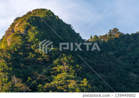 屋久島近海阿爾卑斯山：晨曦照耀下的山坡（秋季） 139449802