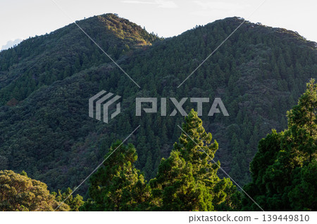 Yakushima, the Alps of the Sea: Mountain slopes illuminated by the morning sun (Autumn) Yakushima, the Alps of the Sea: Mountain slopes illuminated by the morning sun (Autumn) 139449810