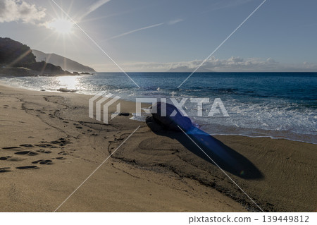Sea turtle nesting grounds, Nagata Inakahama beach, evening view, Yakushima (Autumn) Sea turtle nesting grounds, Nagata Inakahama beach, evening view, Yakushima (Autumn) 139449812