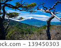 The fresh greenery of May and Mount Fuji as seen from Mount Seihachi 139450303