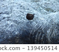 Frog glass 139450514