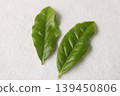 新鮮茶葉 139450806