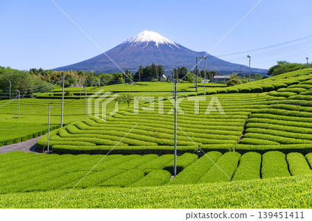 天滿茶園,富士市,靜岡縣 天滿茶園,富士市,靜岡縣 139451411