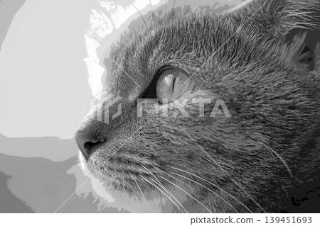 sketch style cat cat cat kijitora gray female female female cat female cat healthy pretty healing sketch style cat cat cat kijitora gray female female female cat female cat healthy pretty healing 139451693