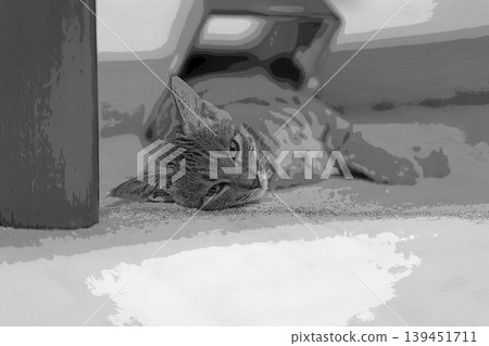 素描 風格 貓 貓 貓 kijitora 灰色 女 女 母貓 母貓 健康 漂亮 癒合 素描 風格 貓 貓 貓 kijitora 灰色 女 女 母貓 母貓 健康 漂亮 癒合 139451711