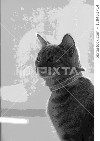 sketch style cat cat cat kijitora gray female female female cat female cat healthy pretty healing sketch style cat cat cat kijitora gray female female female cat female cat healthy pretty healing 139451714