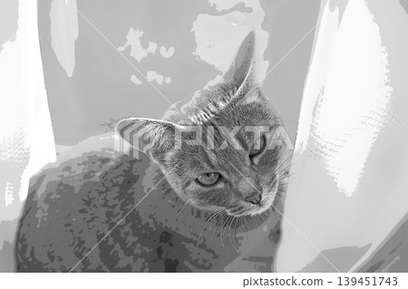 素描 風格 貓 貓 貓 kijitora 灰色 女 女 母貓 母貓 健康 漂亮 癒合 素描 風格 貓 貓 貓 kijitora 灰色 女 女 母貓 母貓 健康 漂亮 癒合 139451743