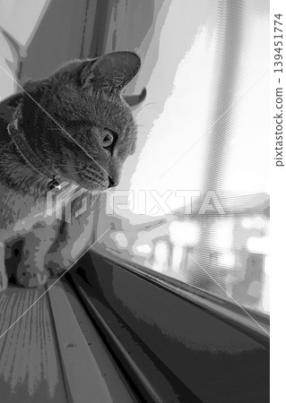 sketch style cat cat cat kijitora gray female female female cat female cat healthy pretty healing sketch style cat cat cat kijitora gray female female female cat female cat healthy pretty healing 139451774