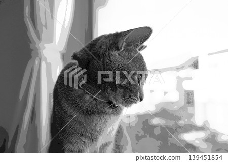 sketch style cat cat cat kijitora gray female female female cat female cat healthy pretty healing sketch style cat cat cat kijitora gray female female female cat female cat healthy pretty healing 139451854