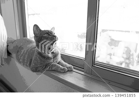 sketch style cat cat cat kijitora gray female female female cat female cat healthy pretty healing sketch style cat cat cat kijitora gray female female female cat female cat healthy pretty healing 139451855