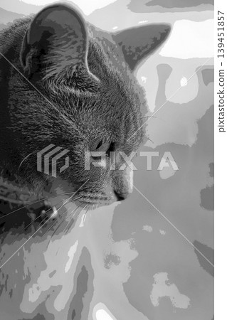 sketch style cat cat cat kijitora gray female female female cat female cat healthy pretty healing sketch style cat cat cat kijitora gray female female female cat female cat healthy pretty healing 139451857