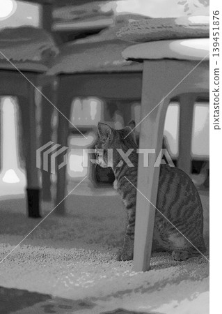 sketch style cat cat cat kijitora gray female female female cat female cat healthy pretty healing sketch style cat cat cat kijitora gray female female female cat female cat healthy pretty healing 139451876