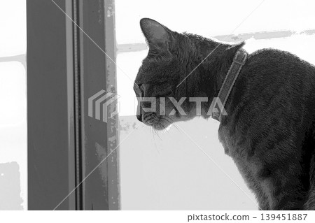 sketch style cat cat cat kijitora gray female female female cat female cat healthy pretty healing sketch style cat cat cat kijitora gray female female female cat female cat healthy pretty healing 139451887