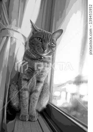 sketch style cat cat cat kijitora gray female female female cat female cat healthy pretty healing sketch style cat cat cat kijitora gray female female female cat female cat healthy pretty healing 139451952