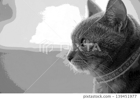 sketch style cat cat cat kijitora gray female female female cat female cat healthy pretty healing sketch style cat cat cat kijitora gray female female female cat female cat healthy pretty healing 139451977