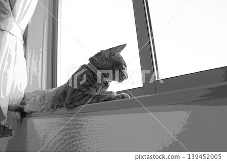 sketch style cat cat cat kijitora gray female female female cat female cat healthy pretty healing sketch style cat cat cat kijitora gray female female female cat female cat healthy pretty healing 139452005