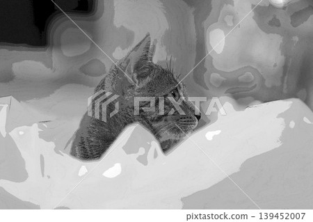 sketch style cat cat cat kijitora gray female female female cat female cat healthy pretty healing sketch style cat cat cat kijitora gray female female female cat female cat healthy pretty healing 139452007