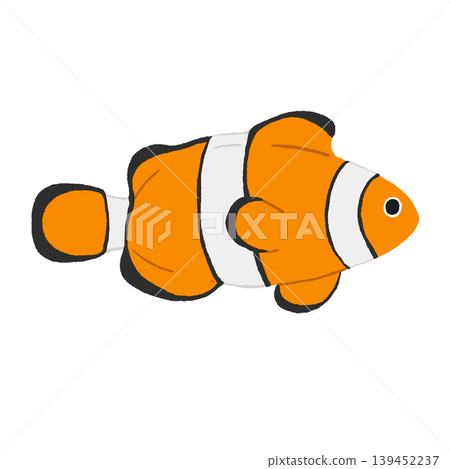 Clown anemonefish Clown anemonefish 139452237