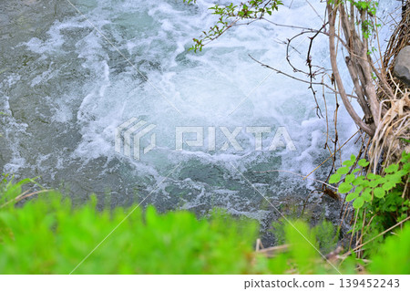 A lush, green landscape along a stream at the foot of Toma Plateau, Tokamachi City, Niigata Prefecture 139452243