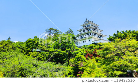 郡上八幡城 郡上八幡城 139452530