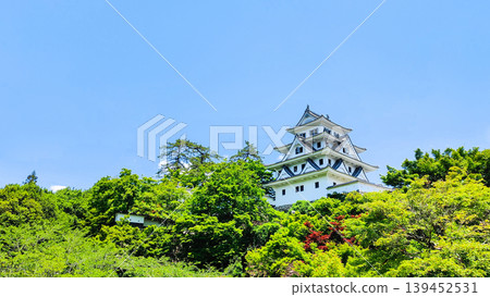 郡上八幡城 郡上八幡城 139452531