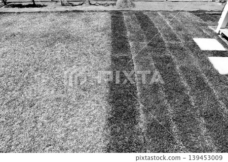 A garden with old grass on the left and new grass and topsoil on the right, called "Kentucky Bluegrass," in black and white. A garden with old grass on the left and new grass and topsoil on the right, called "Kentucky Bluegrass," in black and white. 139453009