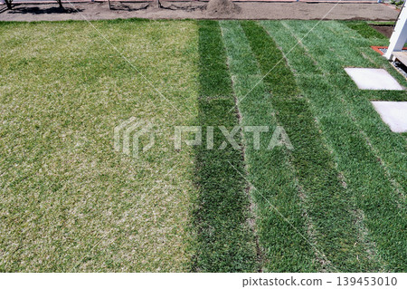 The garden features an old lawn on the left and a new lawn, "Kentucky Bluegrass," on the right, with topsoil spread over it. The garden features an old lawn on the left and a new lawn, "Kentucky Bluegrass," on the right, with topsoil spread over it. 139453010