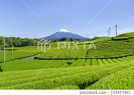 天滿茶園,富士市,靜岡縣 天滿茶園,富士市,靜岡縣 139453461
