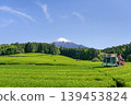 靜岡縣富士宮市杉田茶園 139453824